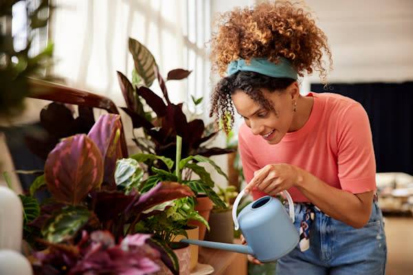 Comment entretenir les plantes d’intérieur pendant les vacances ?#Comment entretenir les plantes d’intérieur pendant les vacances ? - ©