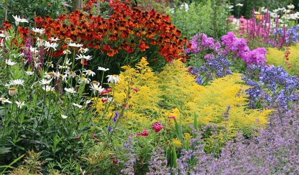 Idées de parterre de fleurs vivaces