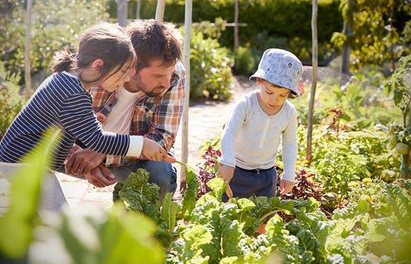 Fête des pères : nos idées pour faire plaisir à tous les papas