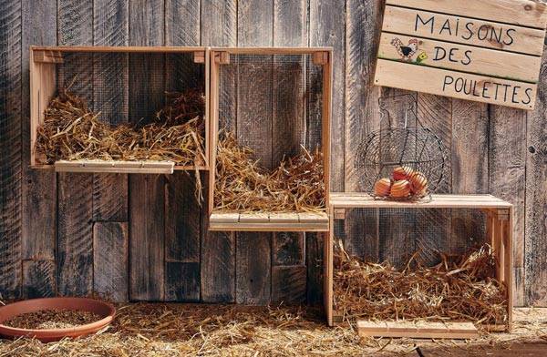 #© StudioEVO