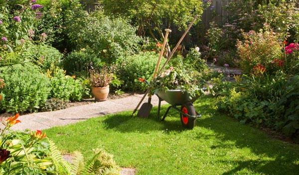 Nettoyage du jardin : que faire à chaque saison ?