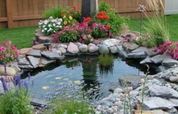 Bassin de jardin 