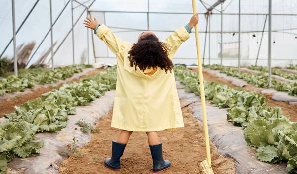 Quelle est la réglementation sur les serres de jardin ?
