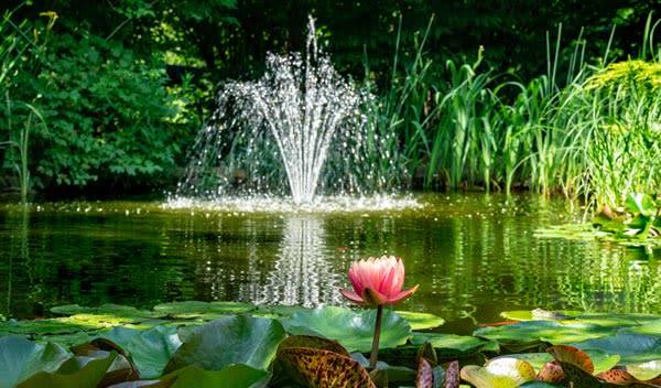 Quelle pompe choisir selon votre bassin de jardin ?