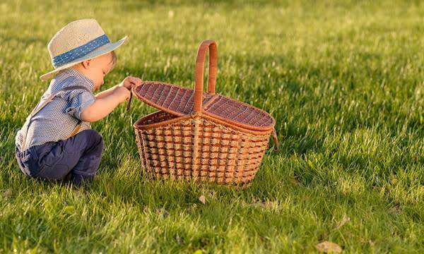 4 astuces pour pique-niquer sur la pelouse l'esprit tranquille