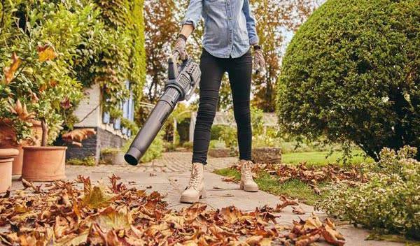 Quelle puissance de souffleur choisir ?
