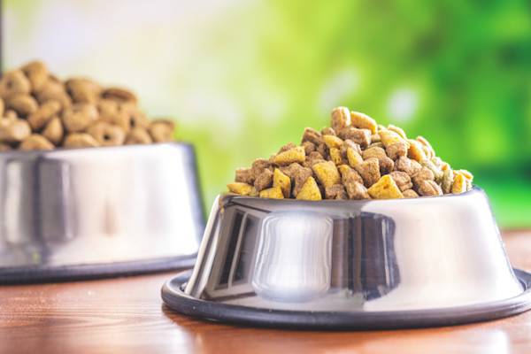 Deux gamelles de croquettes pour chien sur une table 