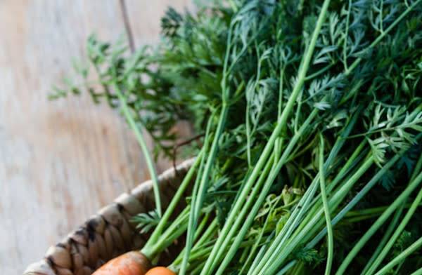 # 8 recettes à base de fanes de carottes – © Serghei Platonov / Gresei – stock.adobe.com
