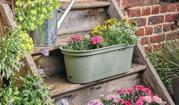 6 étapes pour créer une jardinière fleurie