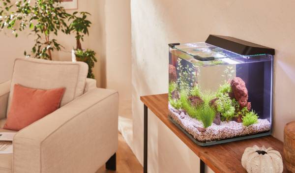 installation filtre interne aquarium 1 thumbnail