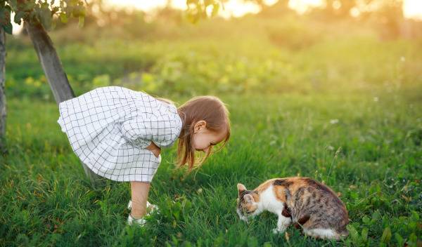 142 idées de noms de chats en B pour 2026
