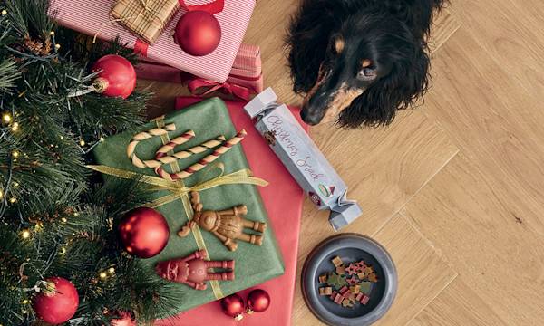14 idées de cadeaux de Noël pour gâter son chien