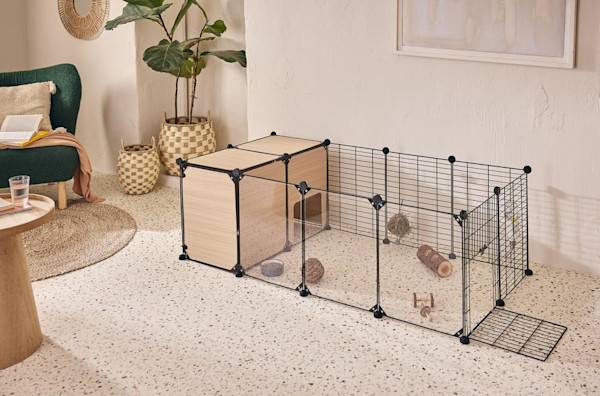 Comment élever un lapin nain en appartement ?