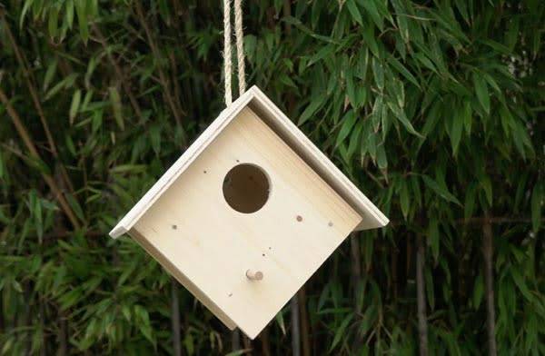Créer un nichoir pour oiseaux