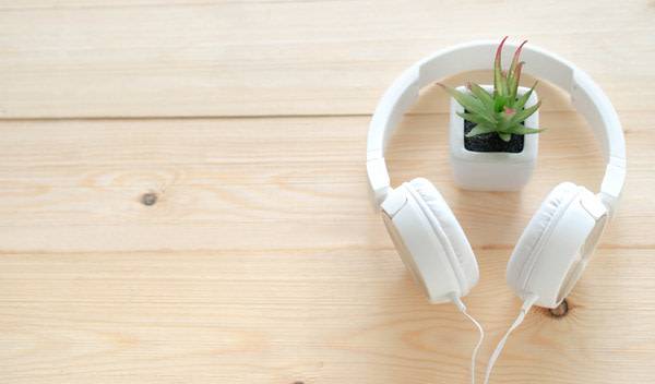 Les meilleurs podcasts de jardinage à écouter toute l'année