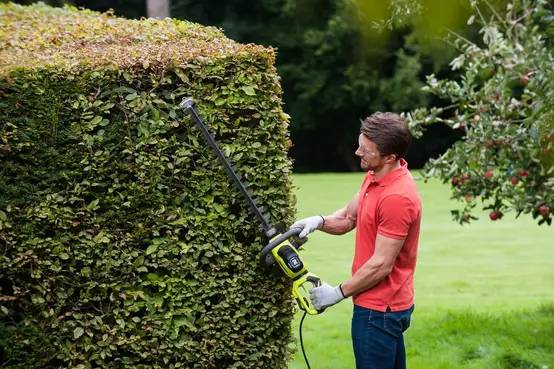 Taille-Haie Électrique 600W L.60cm RHT6160RS - RYOBI