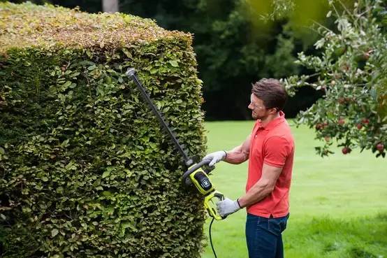 Taille-Haie Électrique 600W L.60cm RHT6160RS - RYOBI