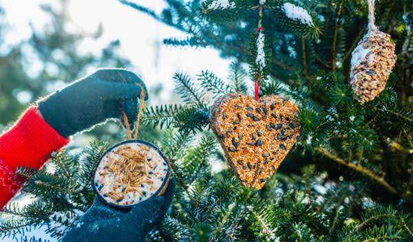 Idées de mangeoires originales pour nourrir les oiseaux cet hiver