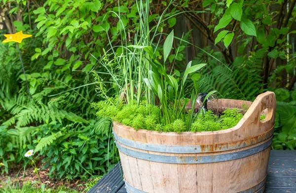 5 idées de mini bassins originaux pour égayer son jardin