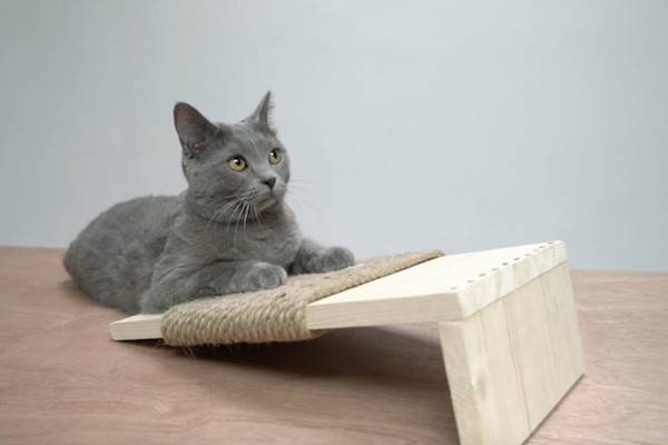 Créer un griffoir design pour son chat
