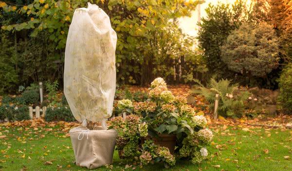 Protéger les plantes en pot du froid, du gel