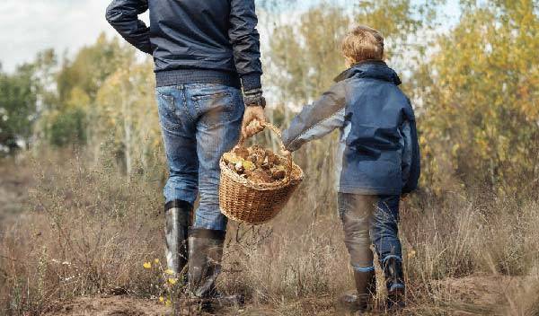 9 activités d'automne à partager en famille