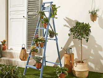 mettre en place les plantes