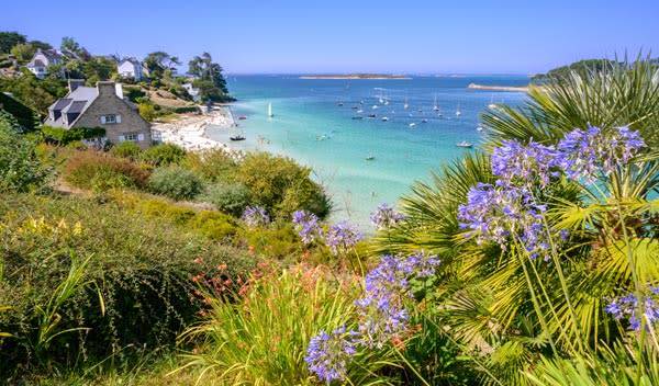 Plantes idéales pour un jardin de Bretagne