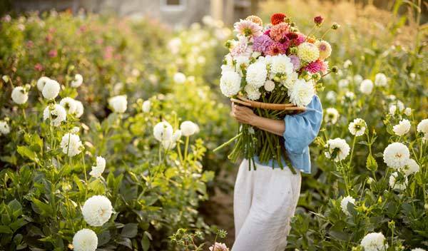 12 fleurs à cultiver pour des bouquets toute l'année !