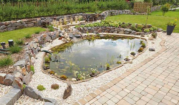Comment créer une mare dans son jardin