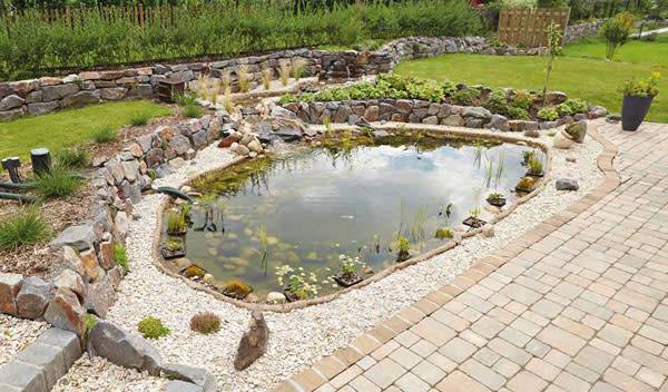 Comment créer une mare dans son jardin