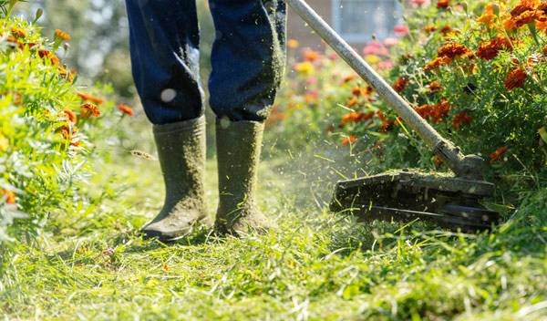 La débroussailleuse peut permettre de tracer des chemin dans les herbes hautes et les prairies fleuries - © I - stock.adobe.com