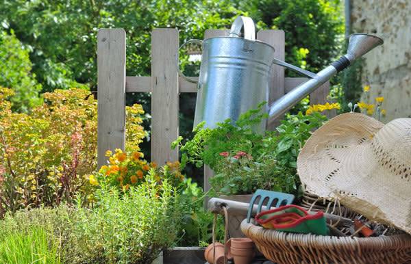 Comment nettoyer le jardin et le potager après les vacances ? - © coco - stock.adobe.com