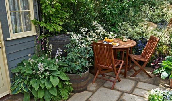 Les 9 meilleurs arbustes persistants adaptés aux jardins de petite taille