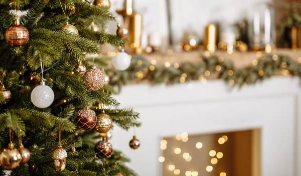 Quel prix pour un sapin de Noël ?