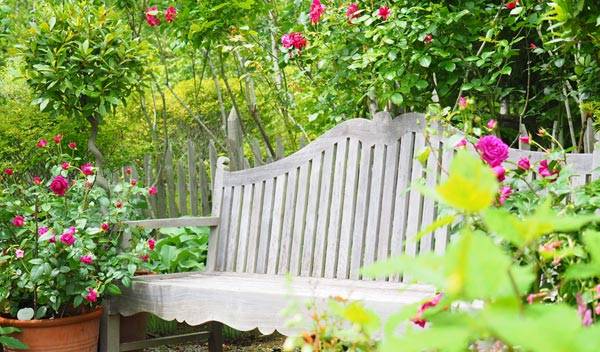 Conseils pour créer un jardin à l'anglaise