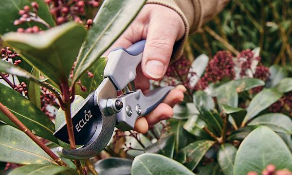 Comment choisir ses outils de taille ?