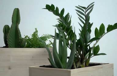 Créer des jardinières nordiques