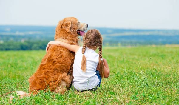 Les enfants et les animaux