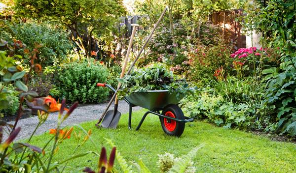 Quelques outils essentiels au jardin - © Colette Planken - Kooij - stock.adobe.com