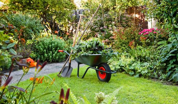 Quelques outils essentiels au jardin - © Colette Planken - Kooij - stock.adobe.com