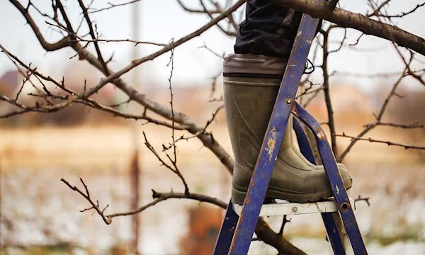 Comment entretenir son jardin en hiver ?