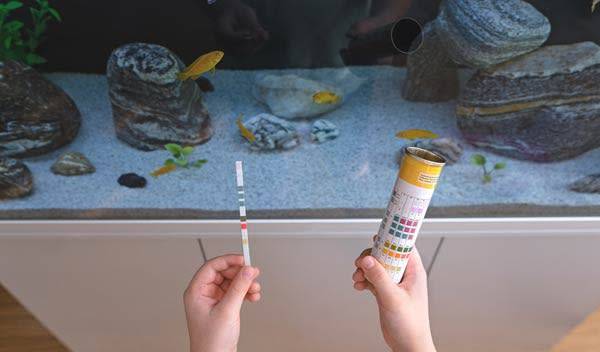 Pourquoi et comment tester son eau d'aquarium ?