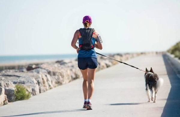 Les bienfaits de courir avec son chien