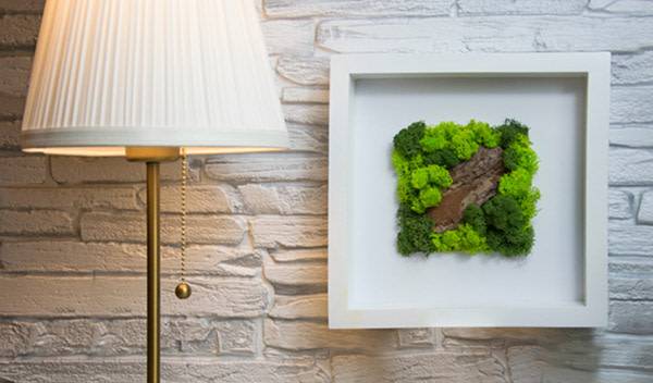 Plantes murales d'intérieur : 4 idées déco faciles à adopter