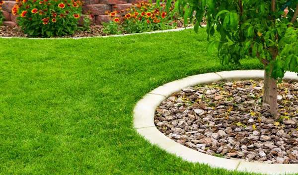 Comment et quelle bordure installer autour d’un arbre ?