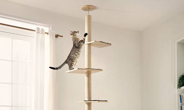 Comment stabiliser un arbre à chat ? - Arbre à chat modulable CANOPY - PURE FAMILY