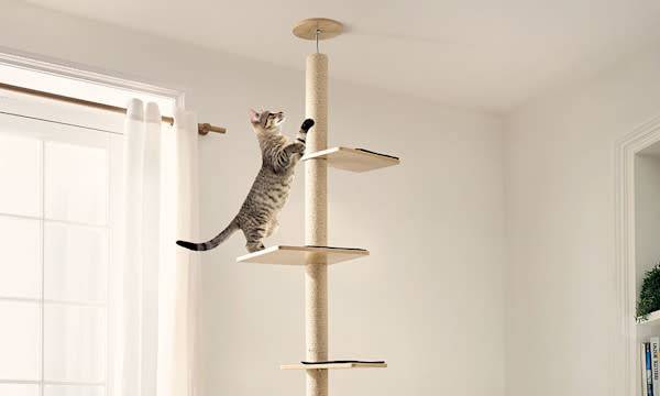Comment stabiliser un arbre à chat ? - Arbre à chat modulable CANOPY - PURE FAMILY
