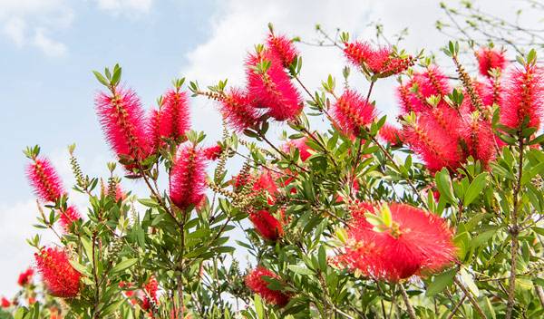 © Xiaoliangge - stock.adobe.com