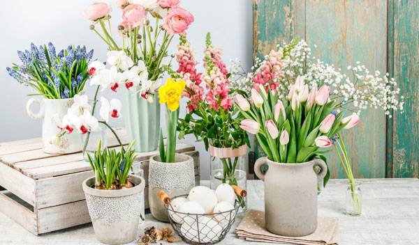 Fleurs à offrir pour Pâques